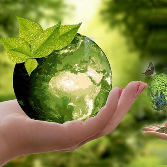 thesiliconreview-exceptional-environmental-sustainability-trends